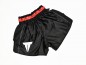 Preview: Throwdown Muay Thai Shorts Stripes